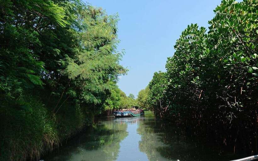 Tainan: Sicao Green Tunnel Scenic Boat Ride - Choosing the right departure time
