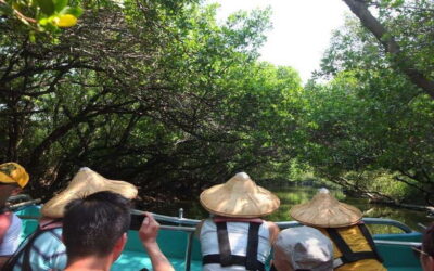 Sicao Green Tunnel Scenic Boat Ride