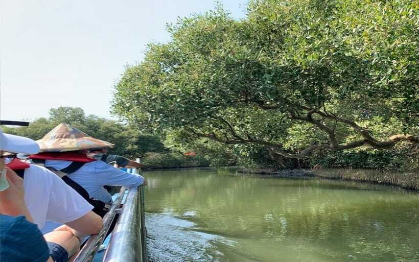 Tainan: Sicao Green Tunnel Scenic Boat Ride - What the 30-minute ride feels like