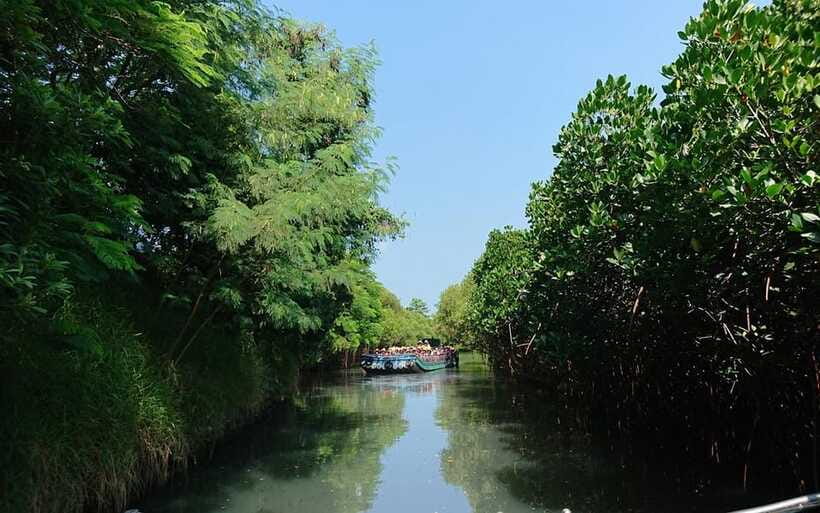 Tainan: Sicao Green Tunnel Scenic Boat Ride - Who should book the Sicao Green Tunnel?
