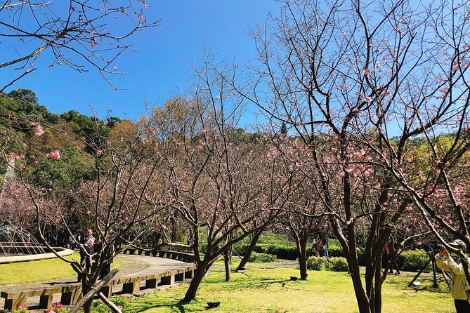 Taipei Cherry Blossom Day Tour to Yangmingshan and Tamsui - Fisherman’s Wharf at sunset