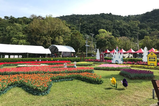 Taipei Cherry Blossom Day Tour to Yangmingshan and Tamsui - What the $85 price really buys