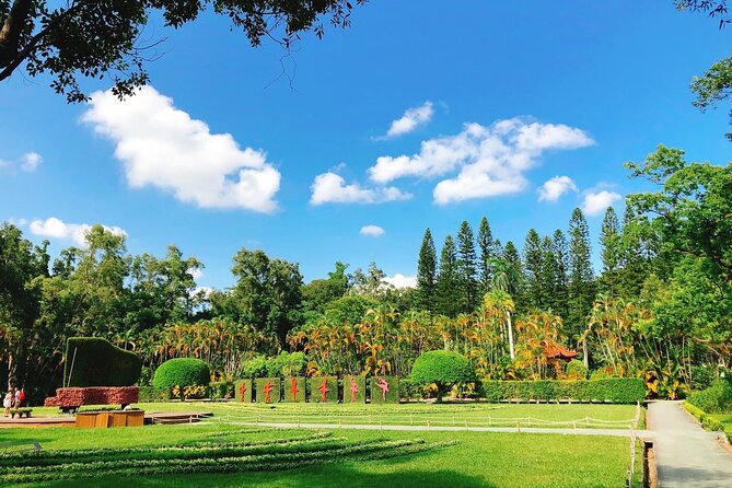 Taipei Cherry Blossom Day Tour to Yangmingshan and Tamsui - Meeting in central Taipei