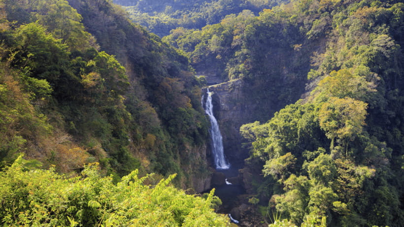 Taipei: Daxi Old Street and Tea Factory, Xiaowulai Day Tour - Jiaoban Mountain Park for a slower two hours