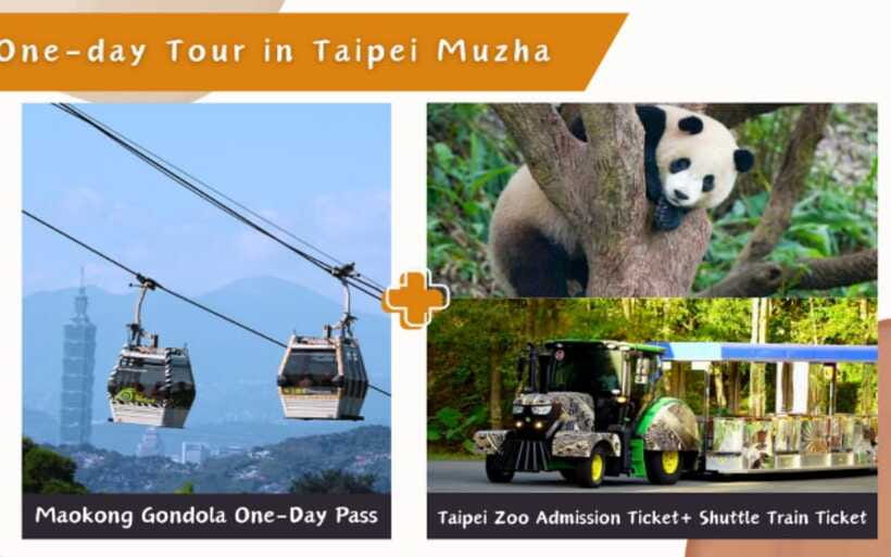 Taipei: Maokong Cable Car 1 day Pass - Sunset, Night Views, and the Value of Unlimited Rides