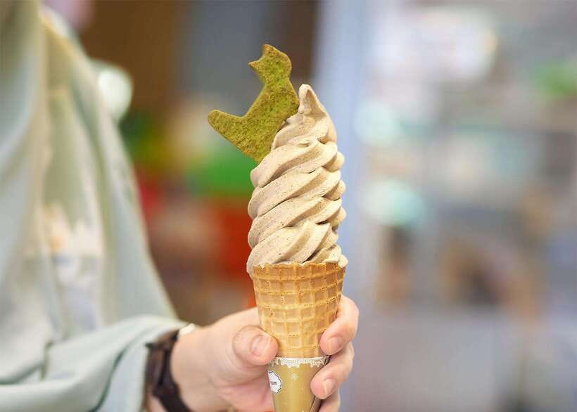 Taipei: Maokong Tea & Shenkeng Tofu Private Day Tour - Practical tips for a smoother day