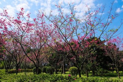 Taipei Timeout: Private 8-Hour Layover Adventures