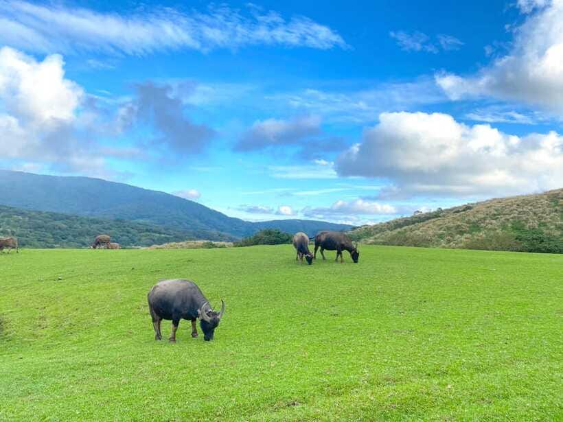 Taipei: Yangmingshan & Beitou Full-Day Tour - Yangmingshan Literary House and the human side of the park