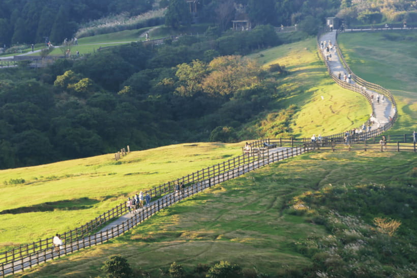 Taipei: Yangmingshan & Beitou Full-Day Tour - Ending at Shilin Night Market