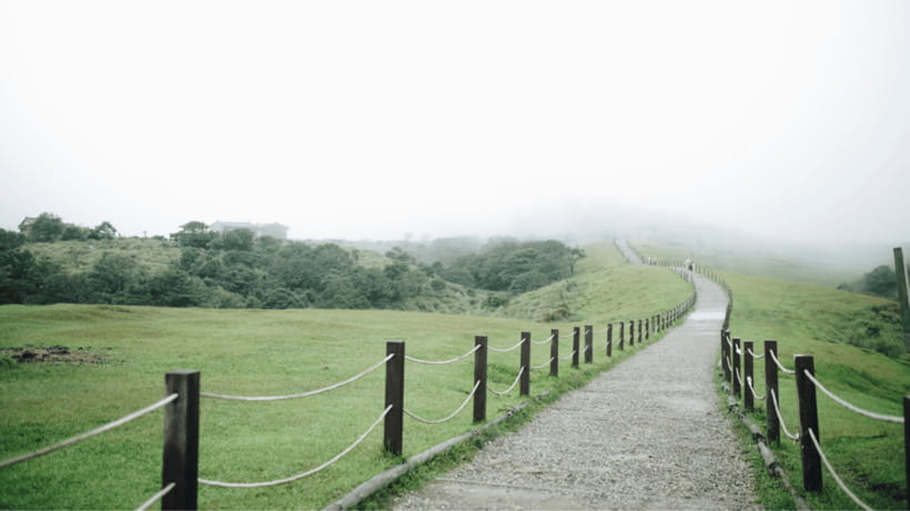 Taipei: Yangmingshan National Park Half-Day Tour - Zhuzihu, or Bamboo Lake