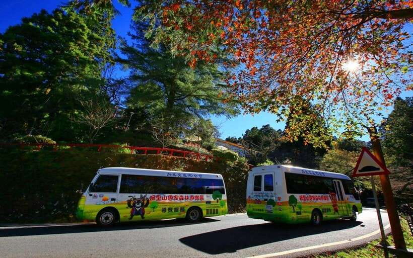 Taiwan: Alishan National Forest Recreation Area E-ticket - Timing, comfort, and who should book