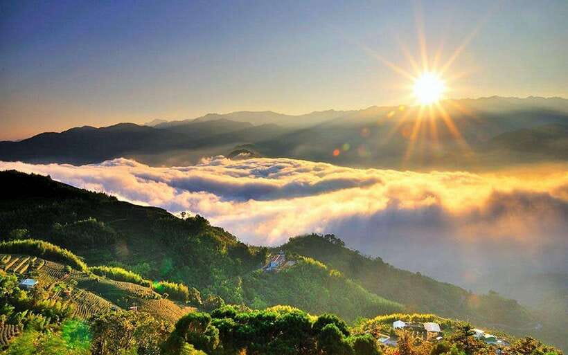 Taiwan: Alishan National Forest Recreation Area E-ticket - The $11 ticket and what it really buys