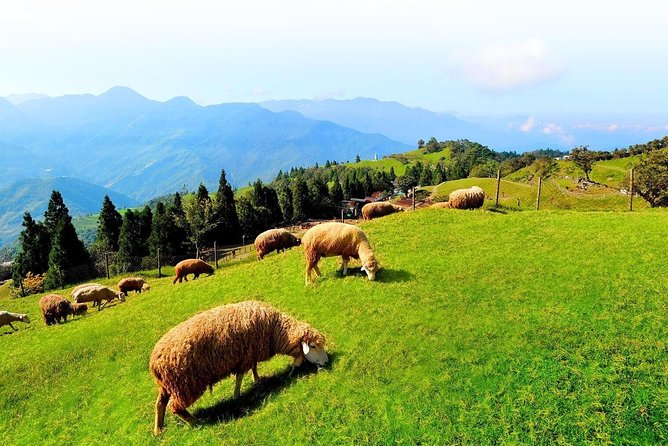 Taiwan Multi-Day Classic Tour - What the US$2,600 price really buys
