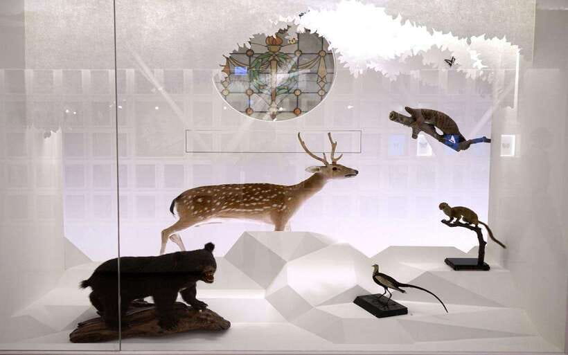 Taiwan Museum, MOCA Taipei & Miniatures Museum Entry Tickets - What this one-day Taipei ticket includes