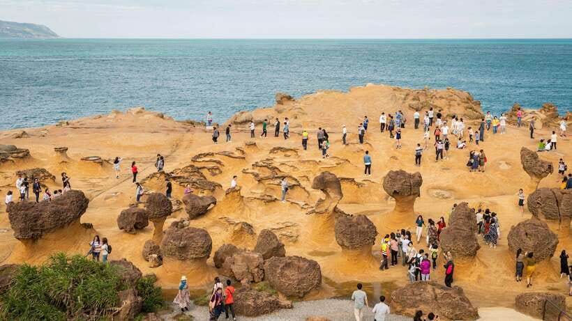 Taiwan Taipei: Customized Private Tour - Price, value, and what the $0 listing means