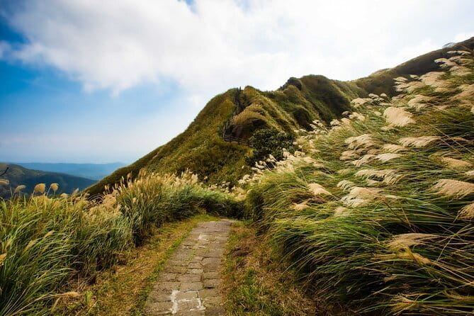 Taiwan TST : Private Tour Taipei, Yangmingshan, Beitou, Tamsui - Why this route works so well from Taipei