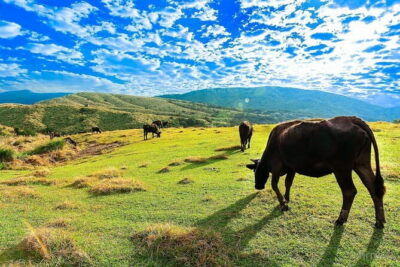 Taiwan TST : Private Tour Taipei, Yangmingshan, Beitou, Tamsui