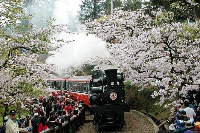 Two-day Sun Moon Lake & Alishan Forest Park Tour Package - What this two-day Taiwan tour really offers