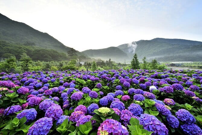 Yangmingshan, Yehliu, Jiufen & Shifen Private Tour From Taipei - Yangmingshan: sulfur air and mountain scenery
